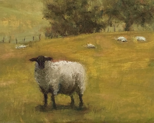 Sheep in Field II