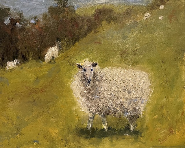 Sheep in Field III