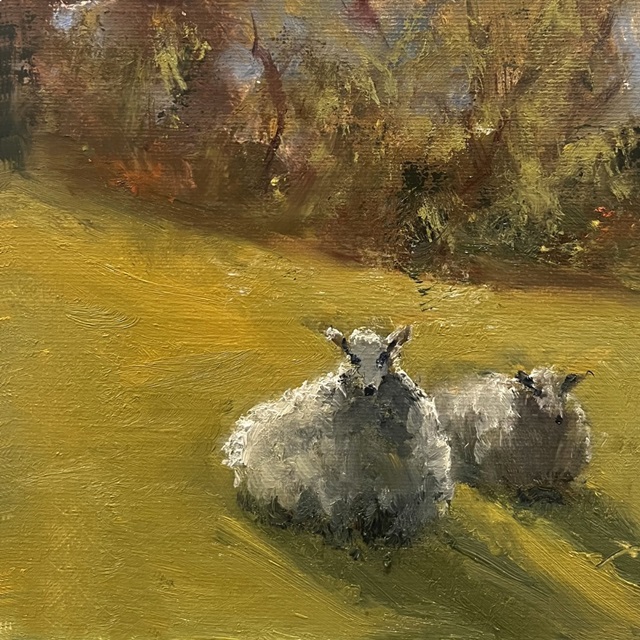 Sheep in Field V