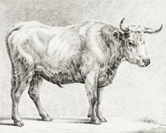 Bernard's Bull Renderings IV