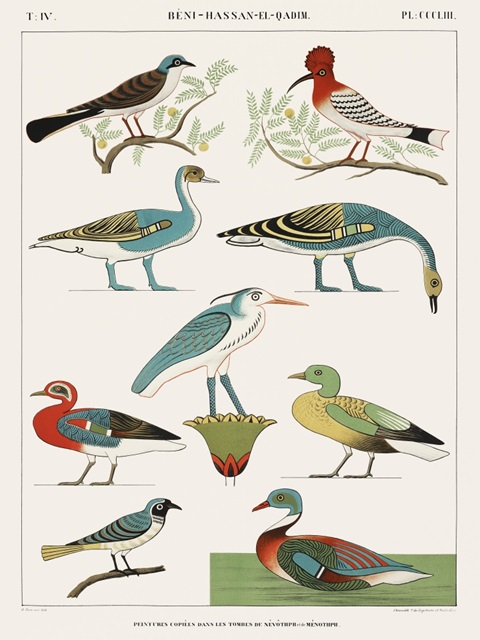 Egyptian Bird Charts I