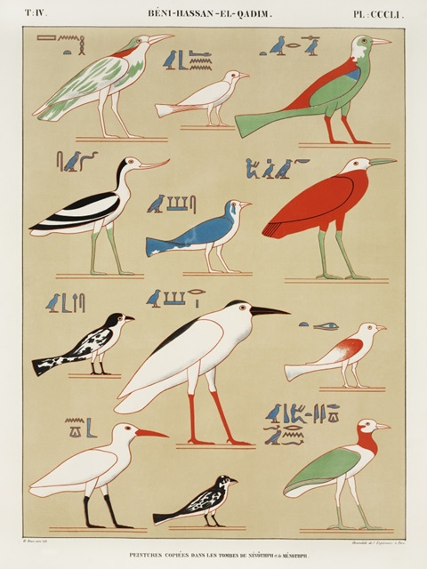 Egyptian Bird Charts II