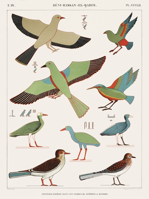 Egyptian Bird Charts III
