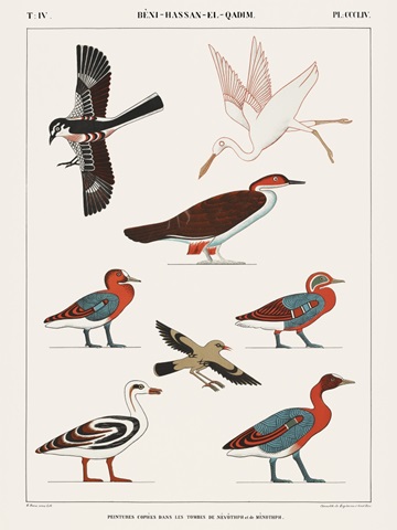 Egyptian Bird Charts IV