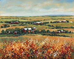 Rural Open Landscape I