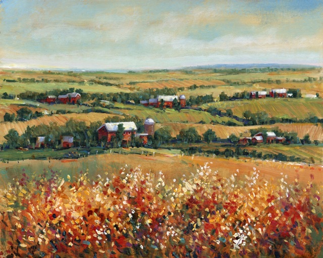 Rural Open Landscape I