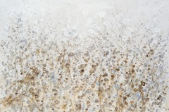 Wildflower Cluster II