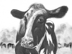 Holstein Perspective I