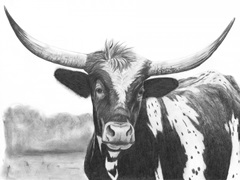 Holstein Perspective II