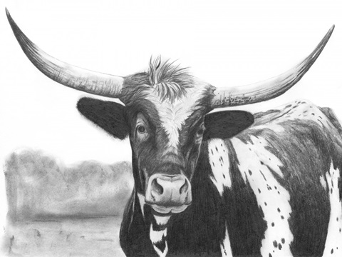 Holstein Perspective II