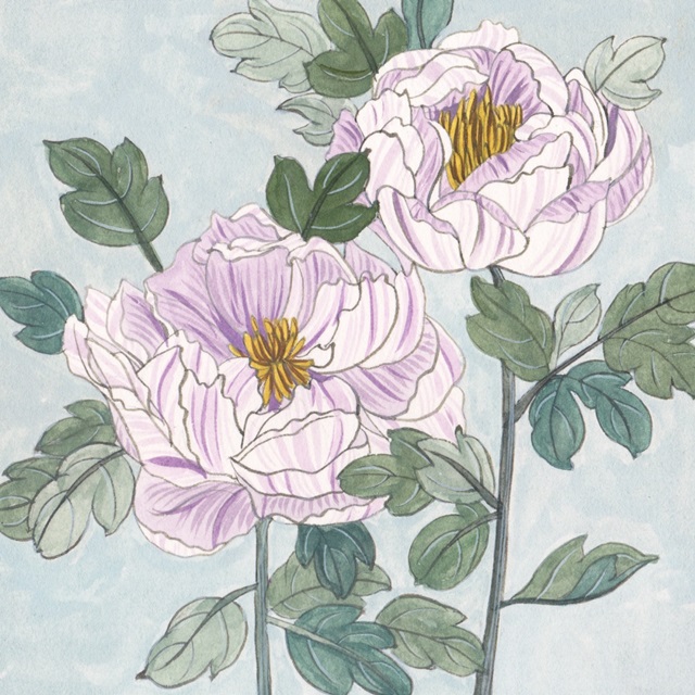 Striped Peonies III