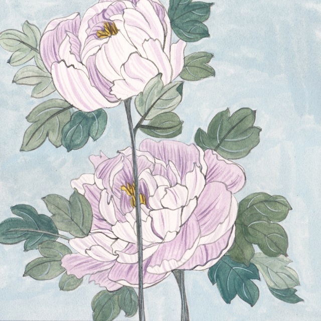 Striped Peonies IV