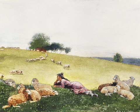 Homer's Sheep Countryside II