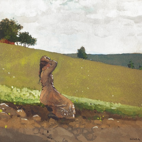 Homer's Sheep Countryside IV