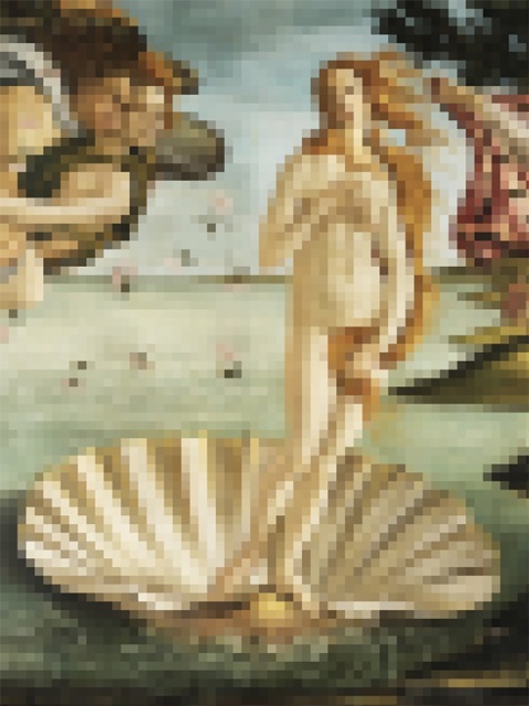 Pixelated Venus on the Halfshell