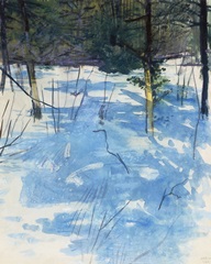 Thayer Landscapes I