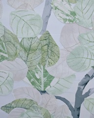 Aspen Spring Leaves II