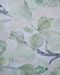 Aspen Spring Leaves IV