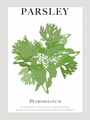 Parsley