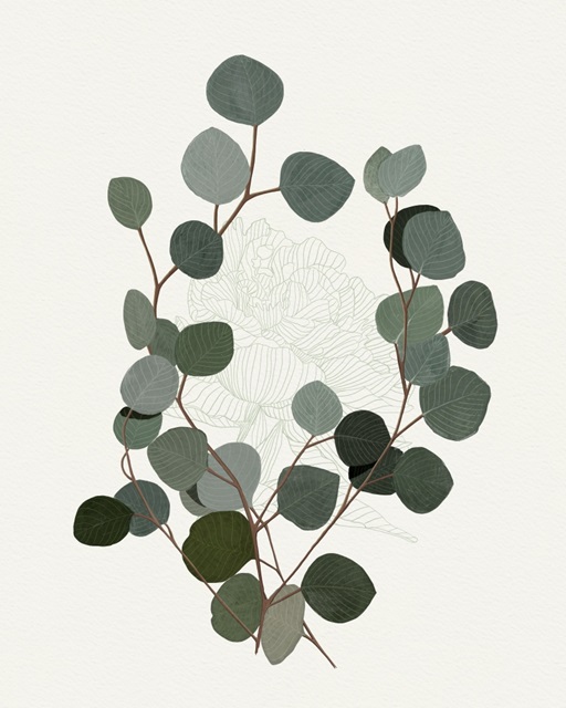 Eucalyptus Leaves I