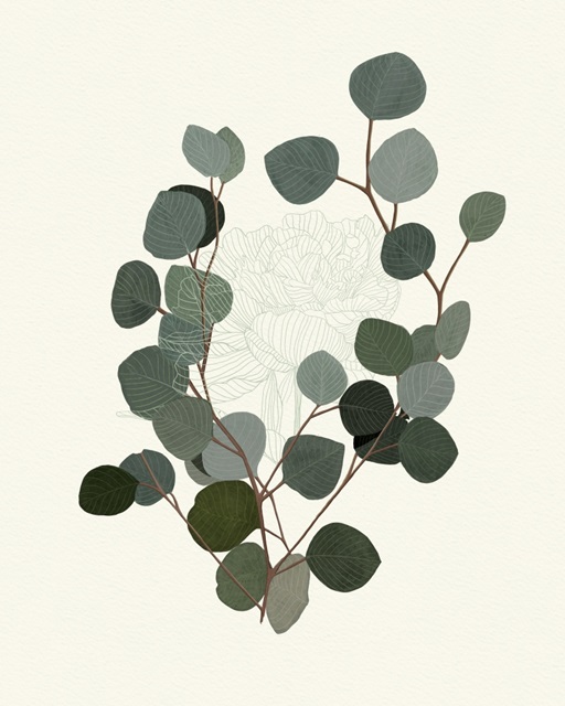 Eucalyptus Leaves II