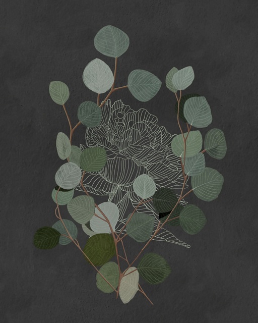 Eucalyptus Leaves III