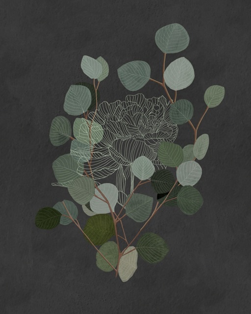 Eucalyptus Leaves IV