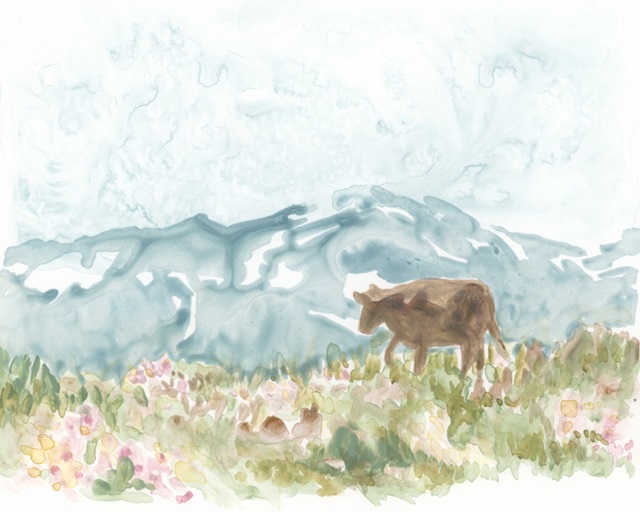 Cow Meadow IV
