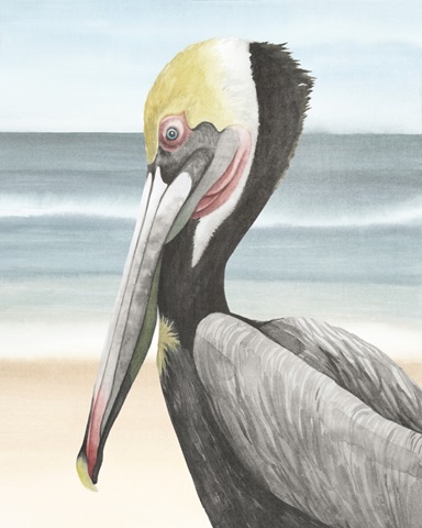 Pelican Beach II
