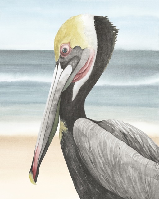 Pelican Beach II