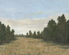 Countryside Clearing I