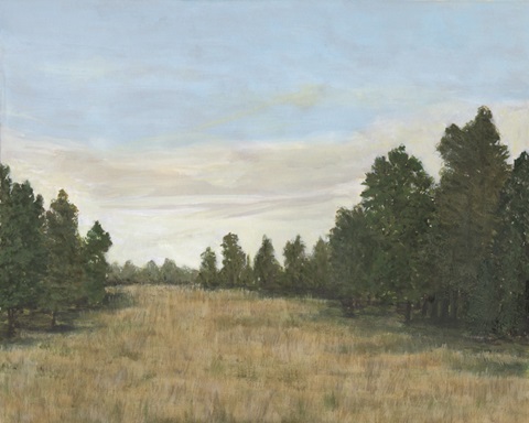 Countryside Clearing I