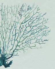 Seaglass Shadow I
