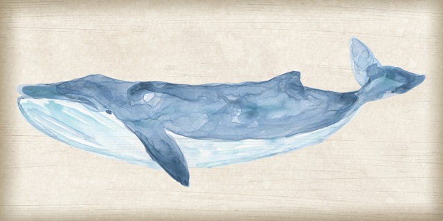 Rustic Whale II