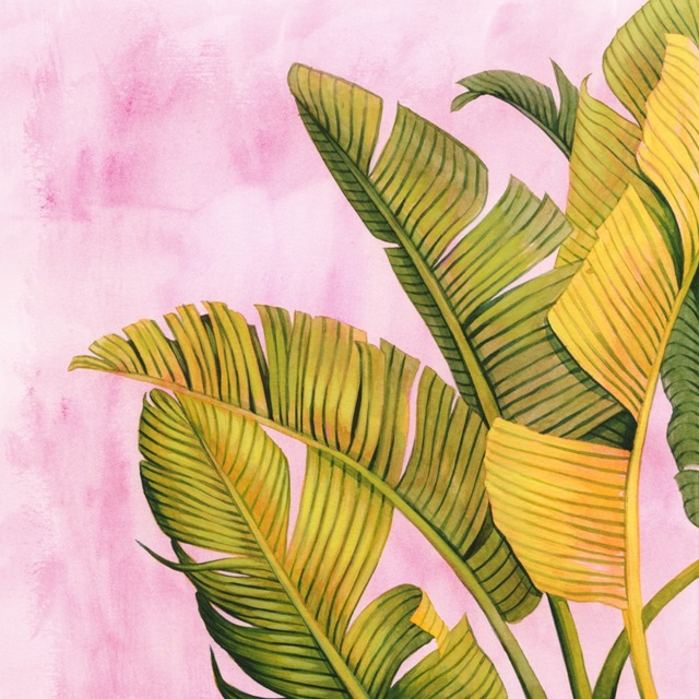 Pink & Palms II