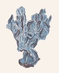 Indigo Reef II