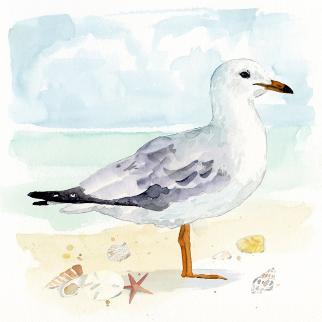 Sandy the Seagull Il
