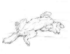 Custom Dog Tired III