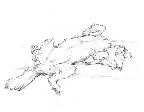 Custom Dog Tired III