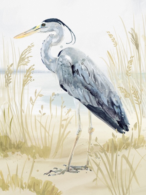 Heron on the Coast II