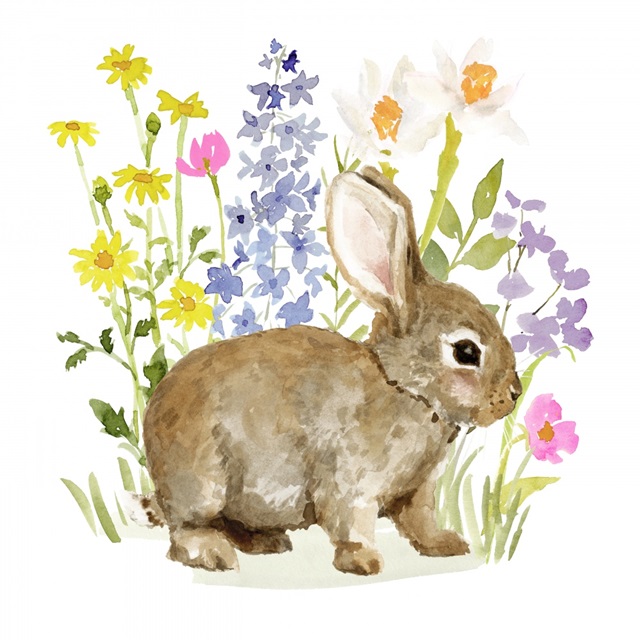 Flower Patch Bunny II