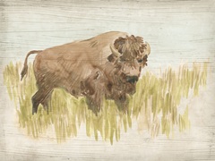 Vintage Bison I