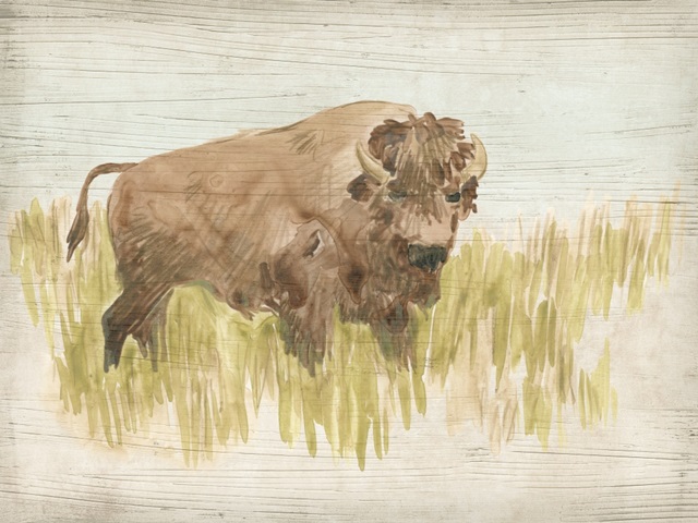 Vintage Bison I