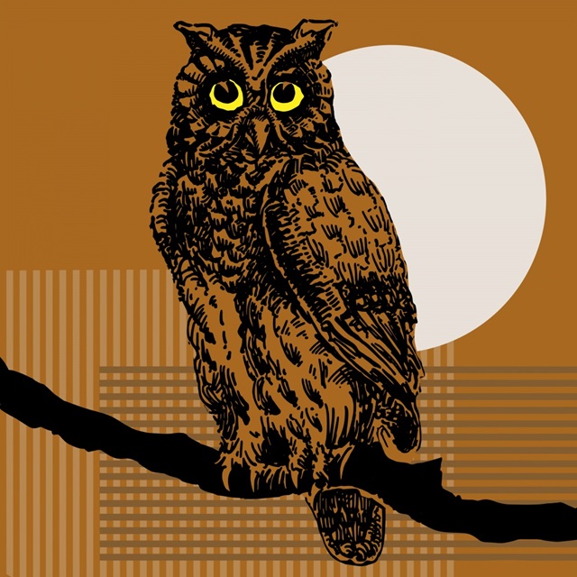 Geometric Owl II