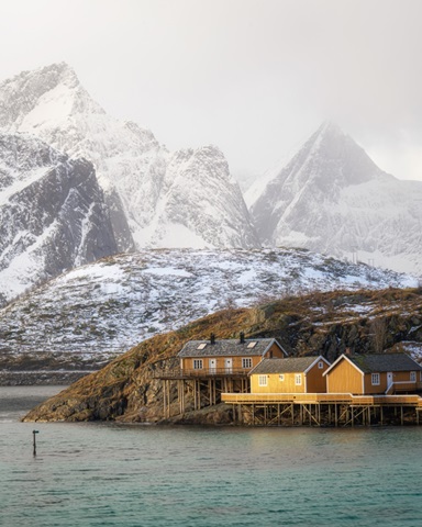 The Yellow Village I