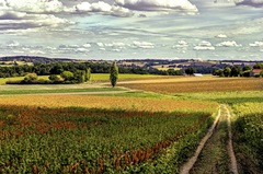 Back Road From Francescas