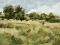 Breezy Meadow II