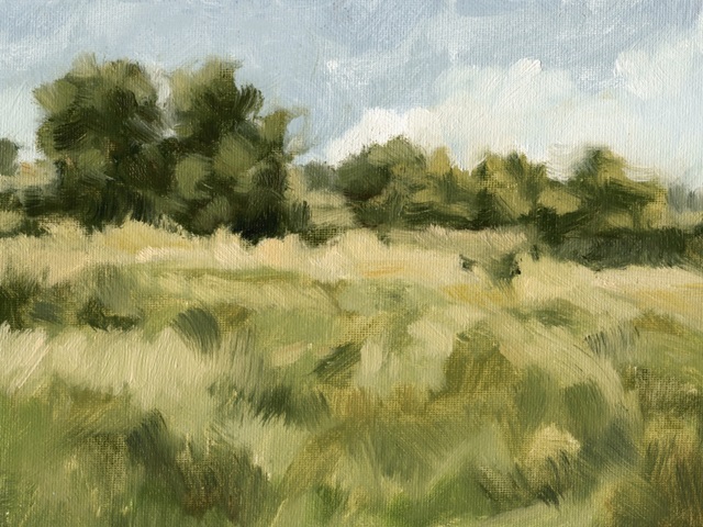 Breezy Meadow II