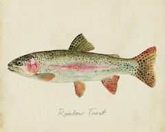 Freshwater Fish Study II