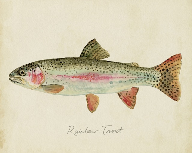 Freshwater Fish Study II